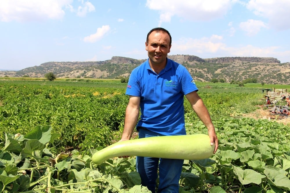 Şanlıurfa’dan getirdiği tohumdan 1 metrelik kabak yetiştirdi 