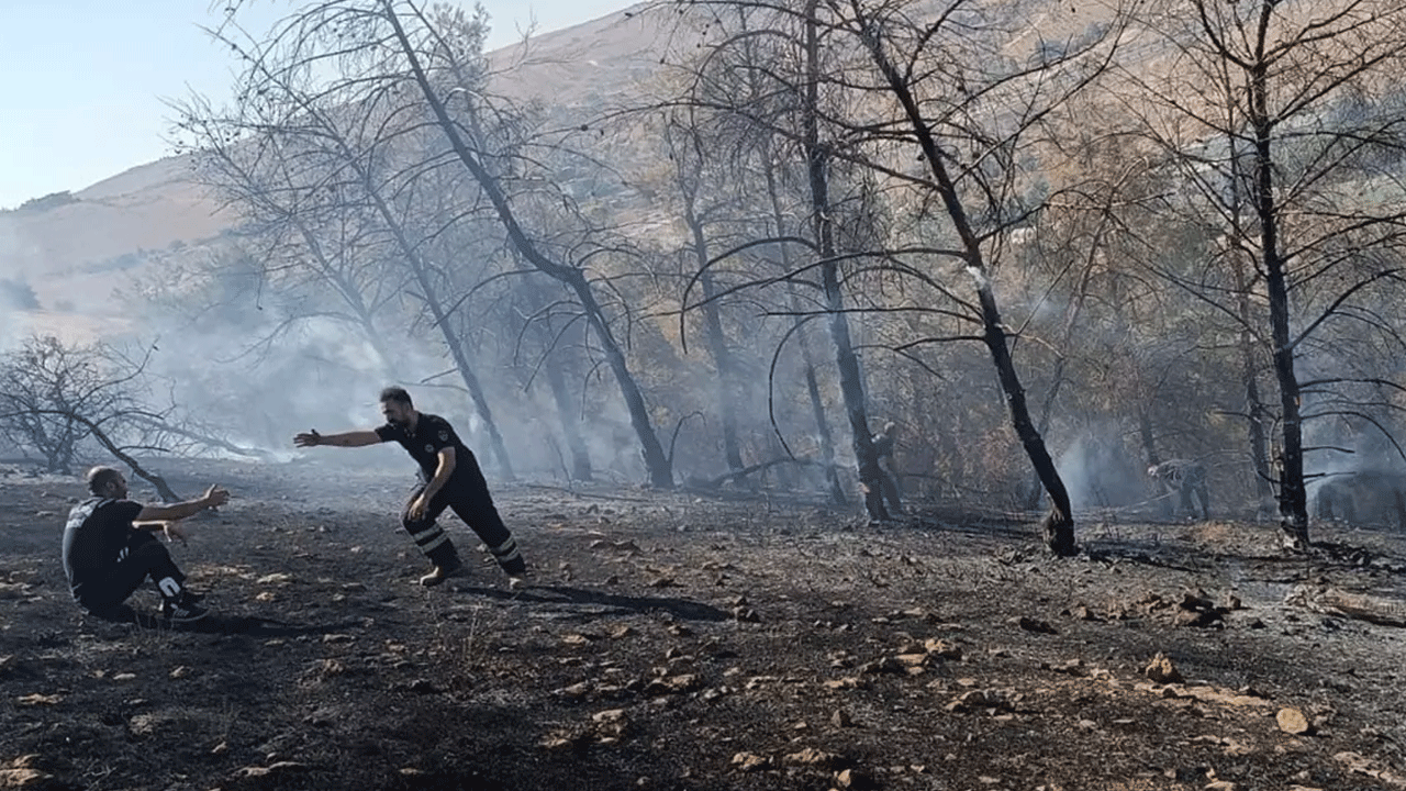 Şanlıurfa'dan yüreklere su serpen haber