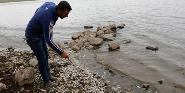 Şanlıurfa'yı tedirgin eden olayla ilgili yeni gelişme