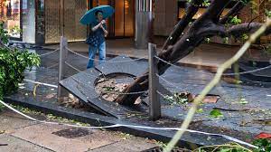 Saola Tayfunu hakkında Çinli yetkililer önemli bir haberi resmen duyurdular: Çin'de maalesef 1 ölü