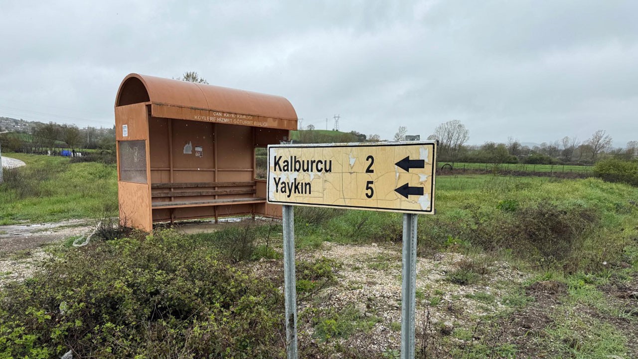 Şap alarmı! O ilimizde bir köy karantinaya alındı