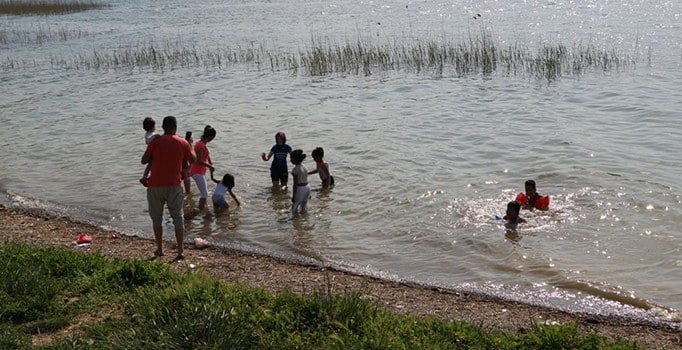 Sapanca Gölü'nde yüzenler tehlike oluşturmaya başladı