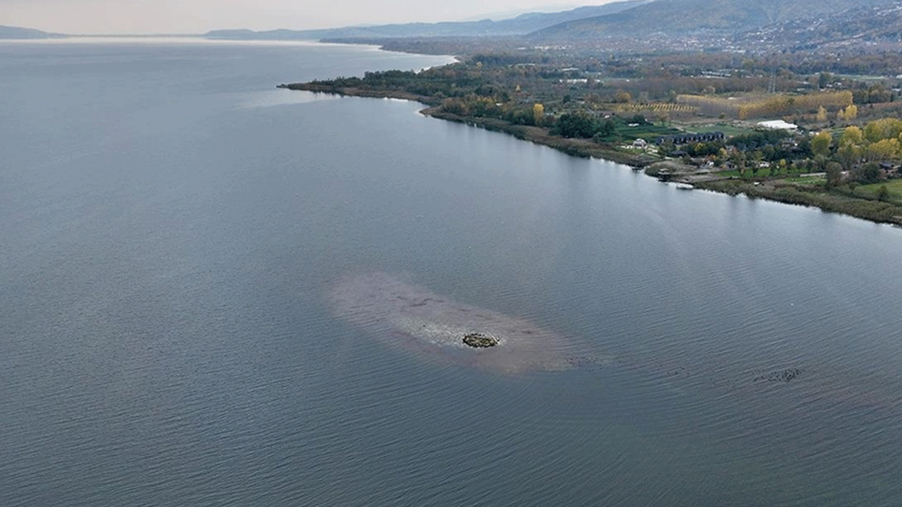 Sapanca Gölü'nden üzen haber