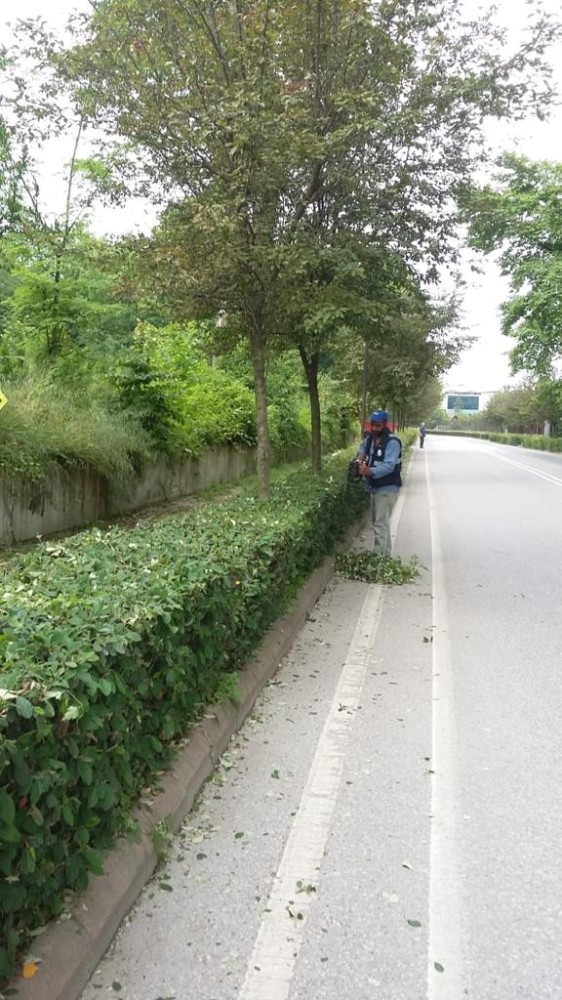 Sapanca yaza hazırlanıyor 