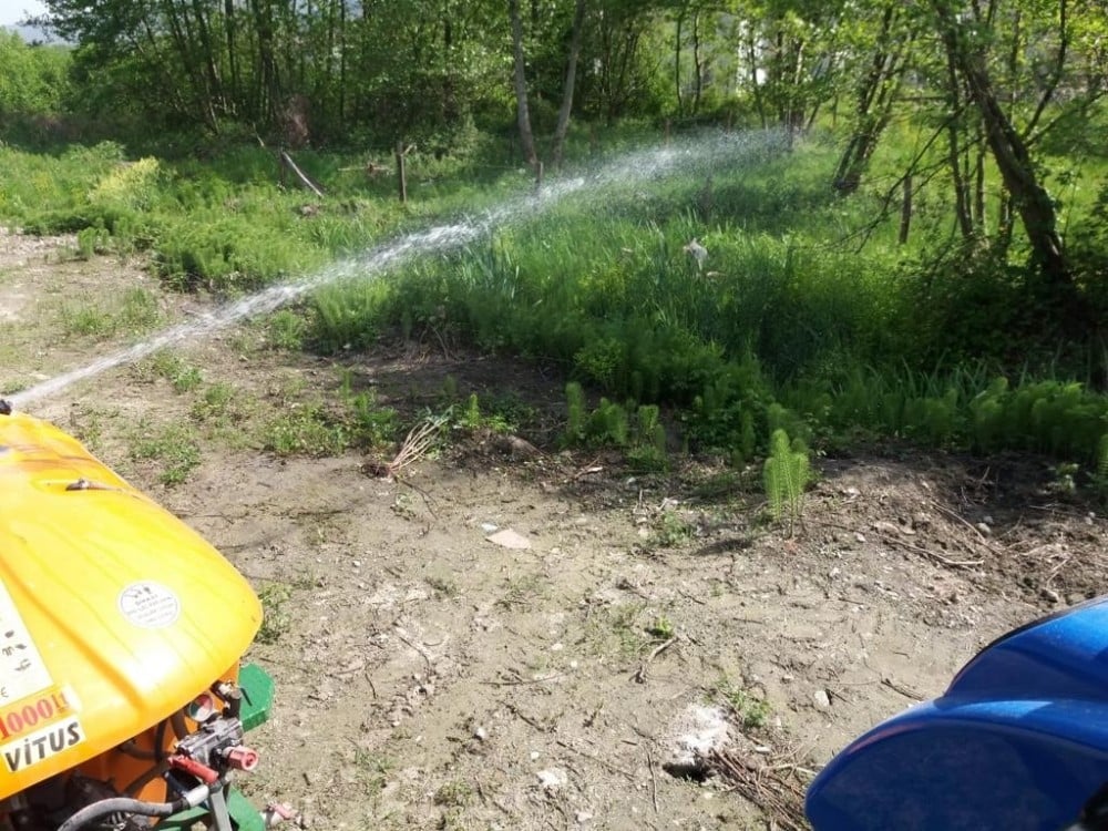 Sapanca’da larva ilaçlamaları başladı 