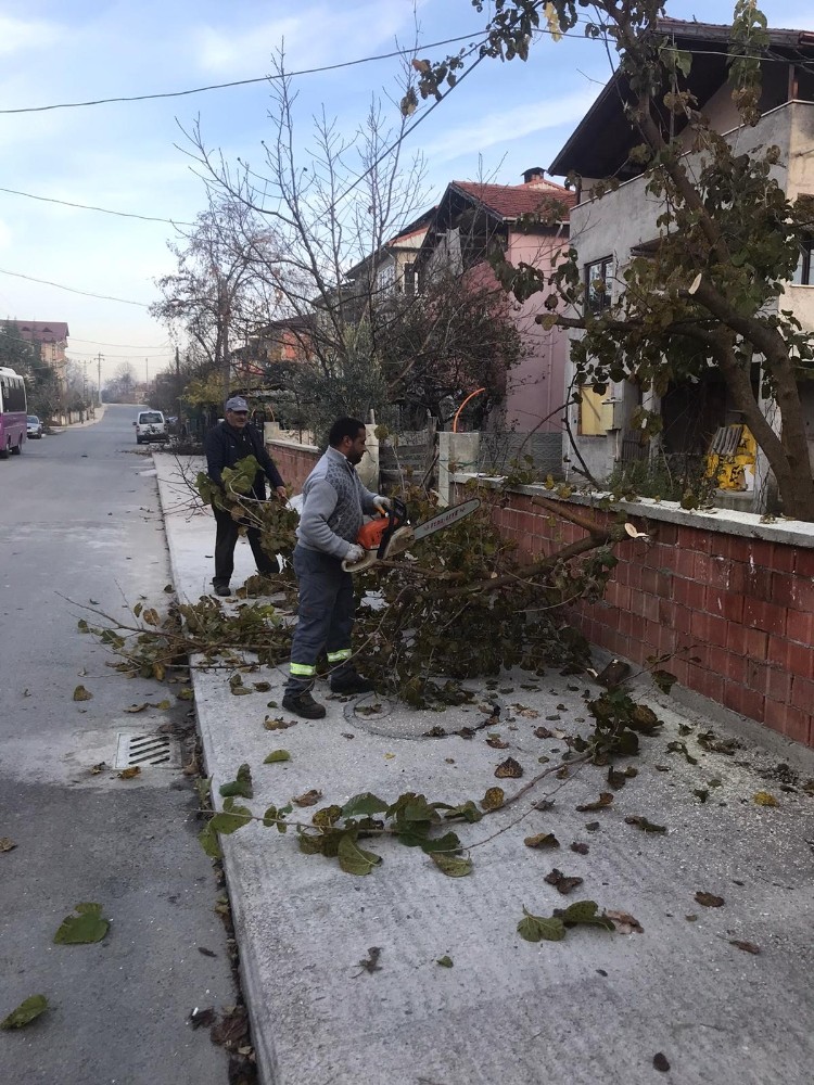 Sapanca’da lodos sonrası hummalı çalışma 