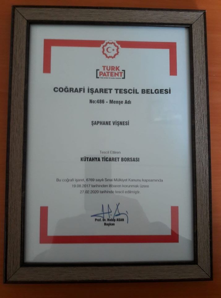 Şaphane vişnesine tescil belgesi 