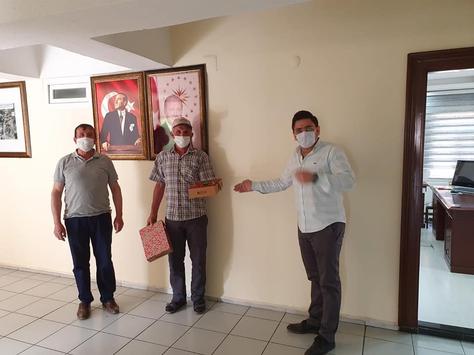 Şaphane’de ’’Erkenci kiraz’’ hasadı başladı 