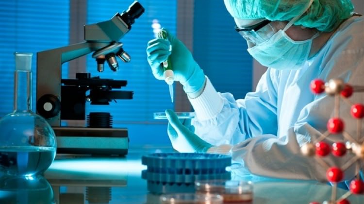 Saraç: Kanseri öldürmek için oruç tutun