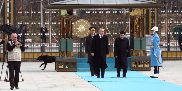 Saray'daki karşılama töreninde davetsiz misafir