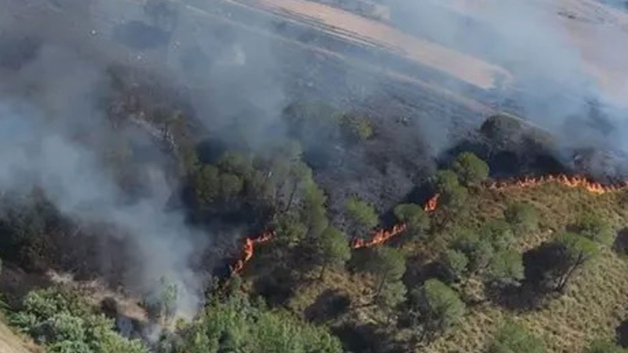 Sardinya Adası alev alev! 20 noktada orman yangını