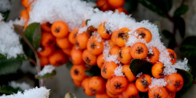 Sarıkamış karla kaplandı