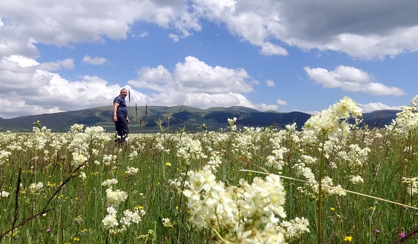 Sarıkamış kışın karla, yazın çiçeklerle bürünüyor