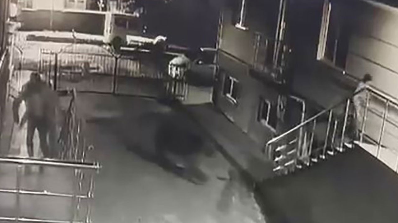 Sarıkamış'ta ilginç anlar! Gören de kaçtı görülen de