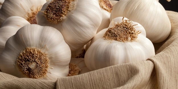 Sarımsağa tuz döküp dişinize sürerseniz ne olur?