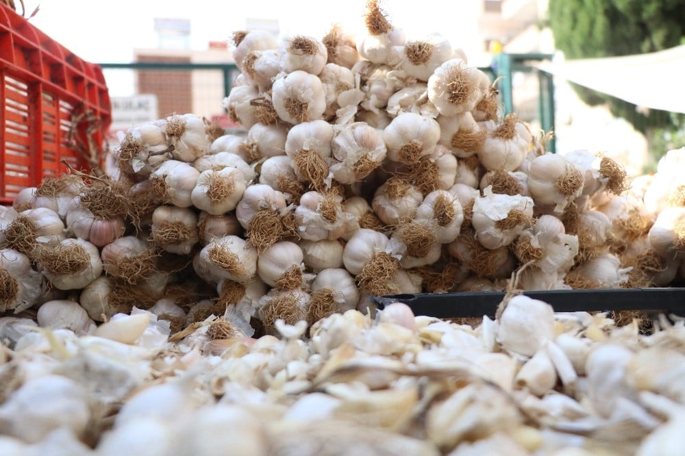 Sarımsak halde 15, pazarda 30 lira 