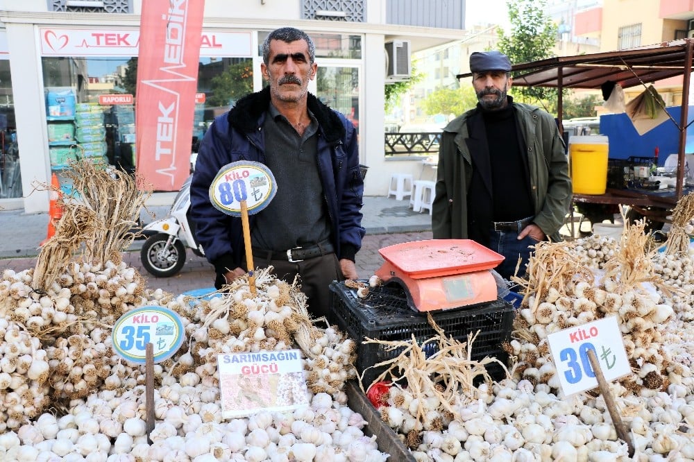 Sarımsak halde 35, pazarda 80 lira 