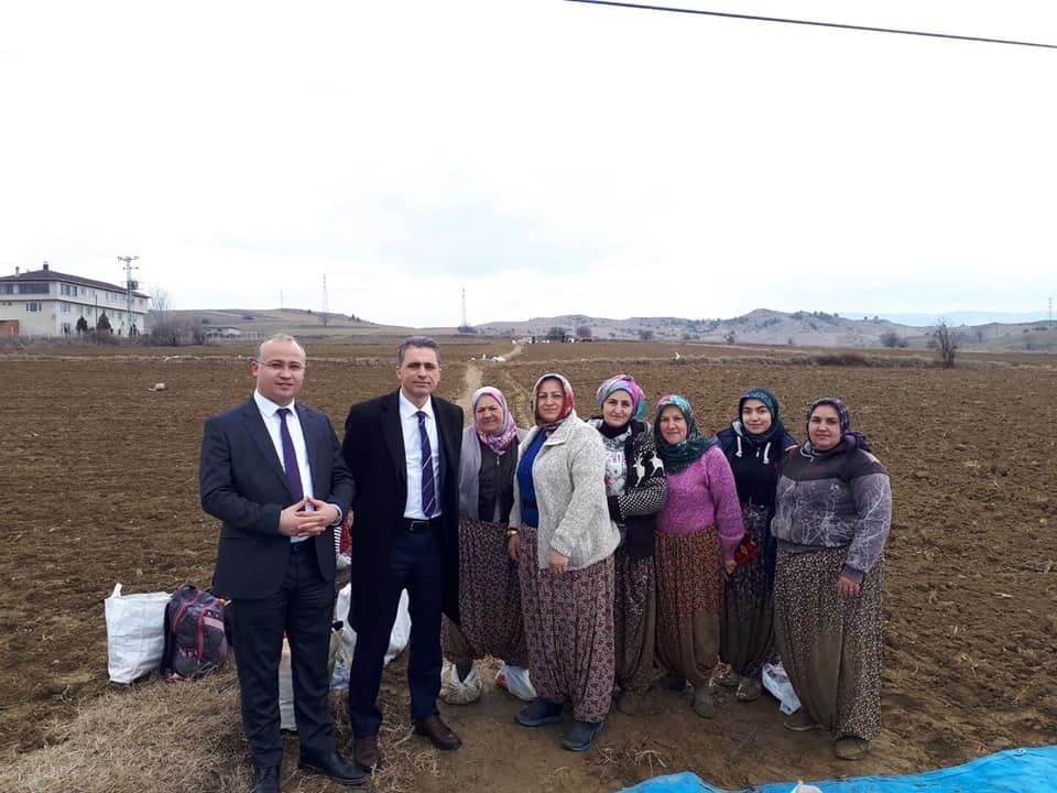Sarımsak tarlasında çalışanların yevmiyesi 90 lira olarak belirlendi 