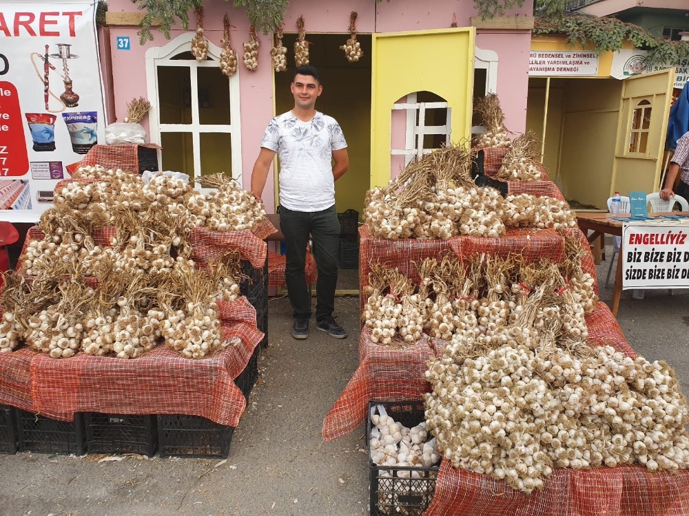 Sarımsak üreticileri, festivaldeki satışlardan memnun 