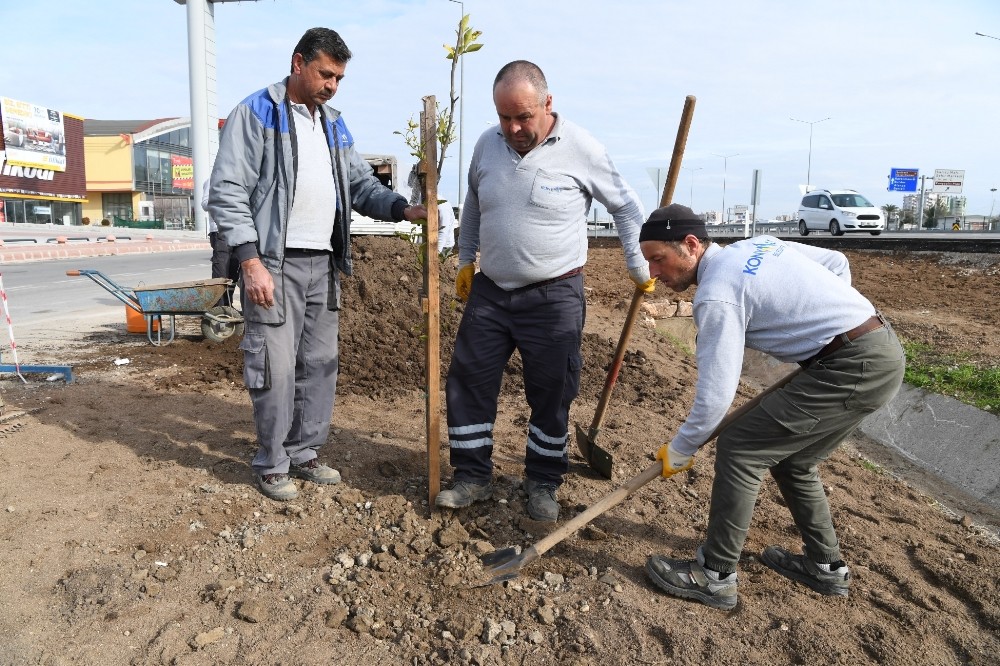 Sarısu Mahallesi’ne 15 bin metrekare peyzaj 
