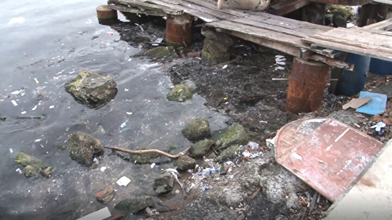 Sarıyer sahilleri çöplüğe döndü! Vatandaşlar isyan etti, belediye sessiz kaldı!