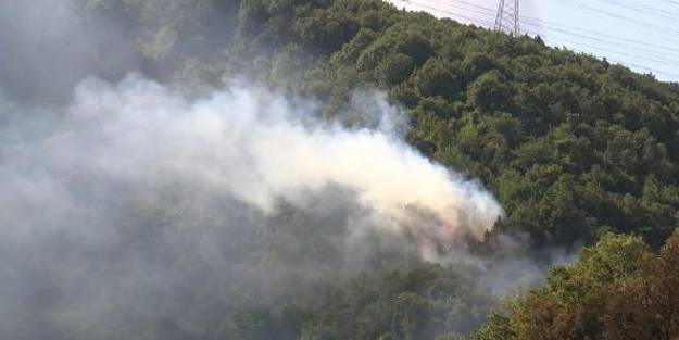 Sarıyer'de çıkan yangın söndürüldü