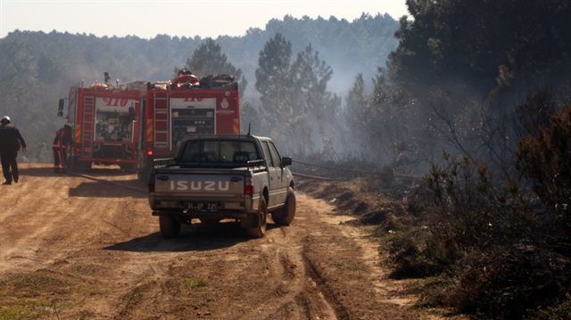 Sarıyer'de orman yangını