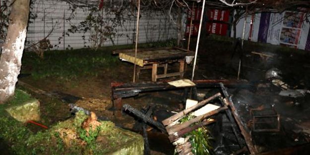 Sarıyer'de piknik tüpü bomba gibi patladı