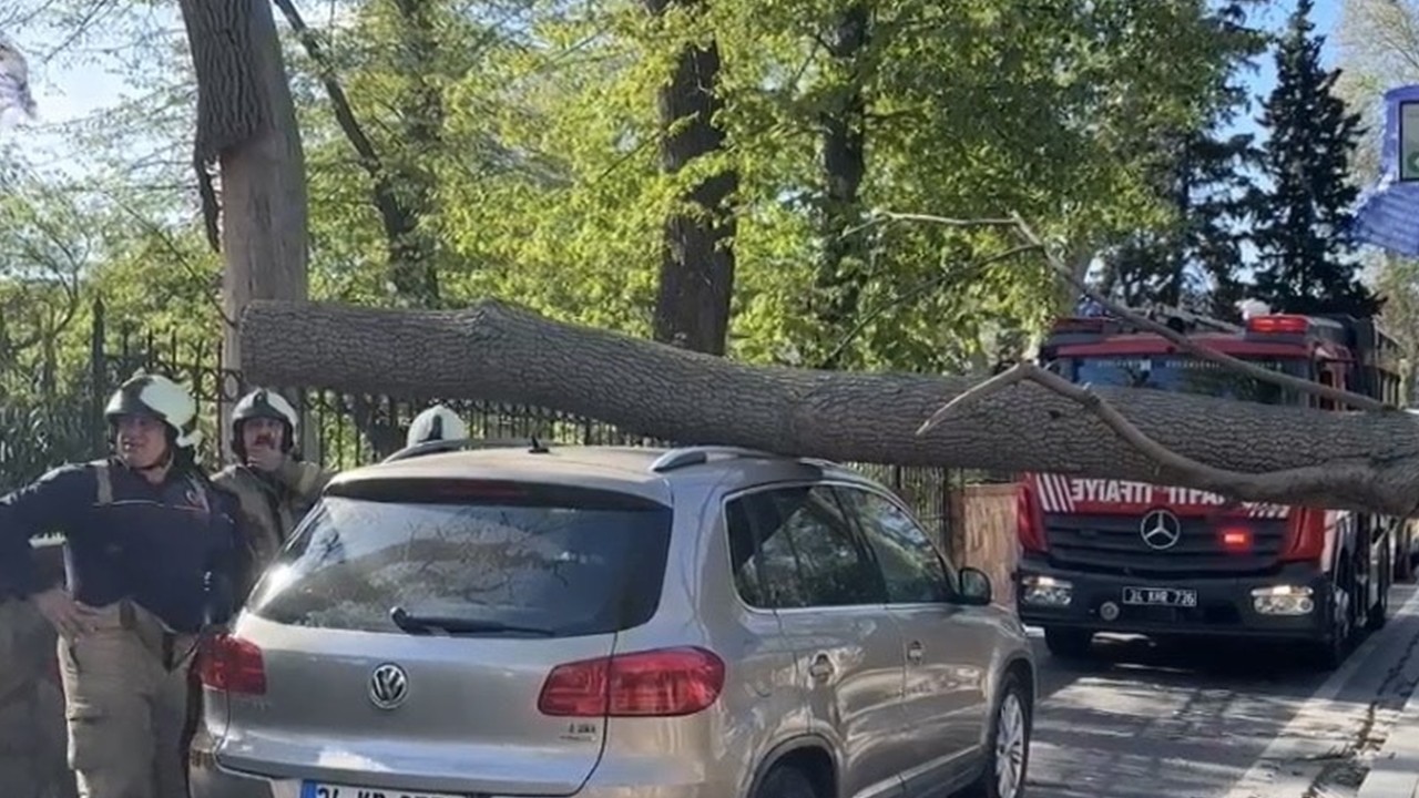 Sarıyer’de şiddetli rüzgar ağacı devirdi, otomobil hasar gördü