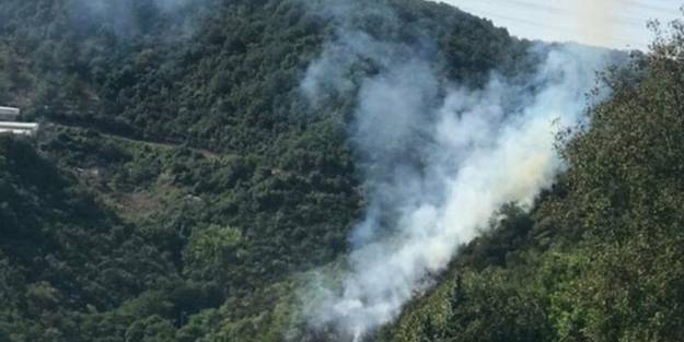 Sarıyer'deki orman yangınıyla ilgili soruşturma başlatıldı