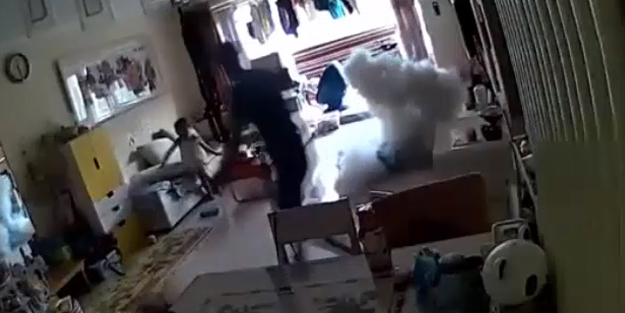 Elektronik kaykay sarjda bırakıldı, bomba gibi patladı