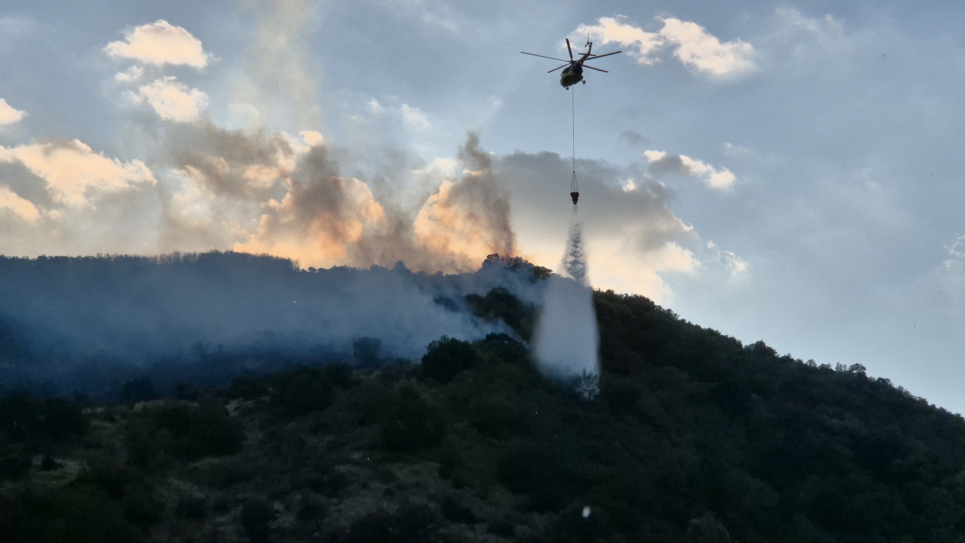 Şarköy'deki orman yangınıyla ilgili gözaltına alınan şahıs suçlamaları reddetti