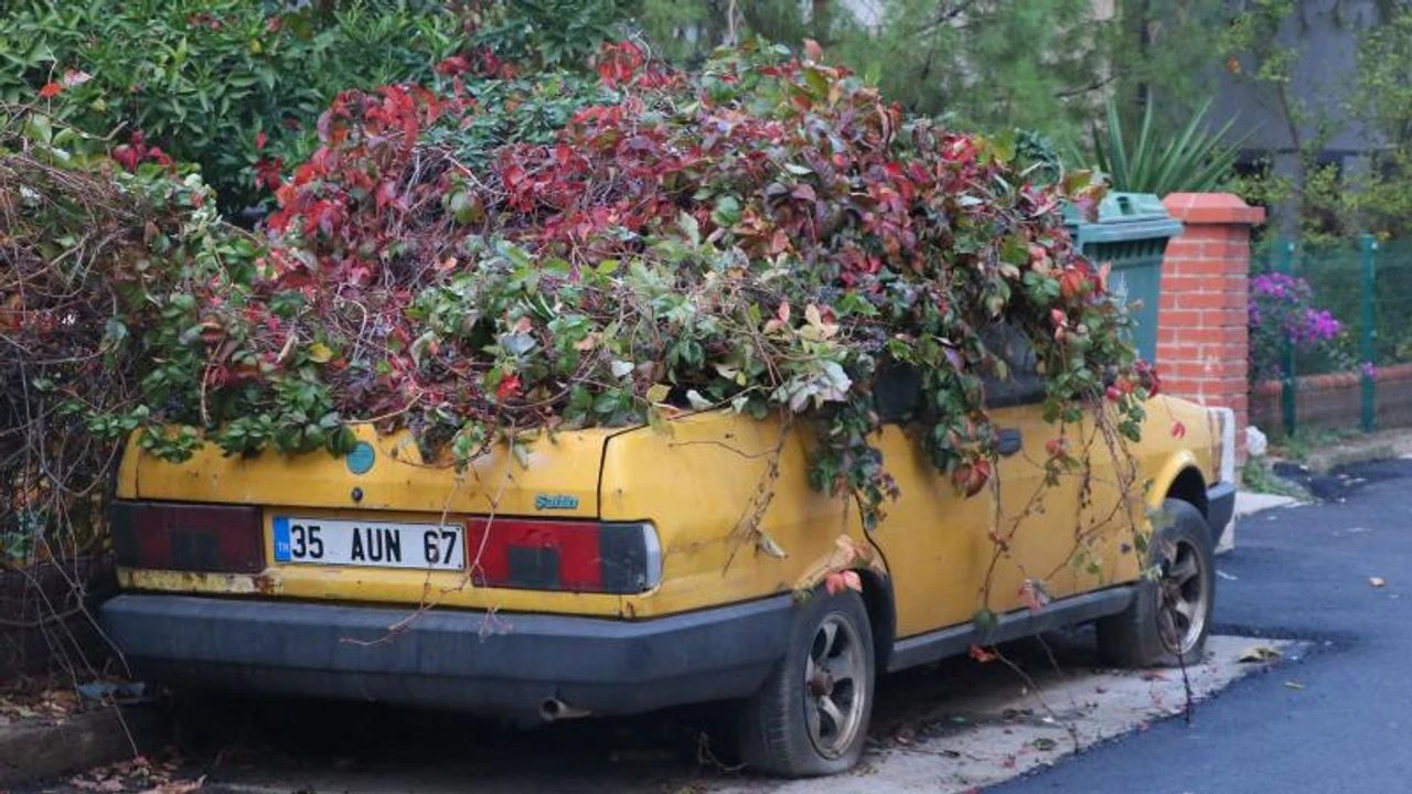 Sarmaşıklarla kaplanan taksinin hüzünlü hikayesi