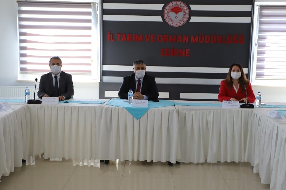 Saros körfezi için özel korona virüs tedbirleri 
