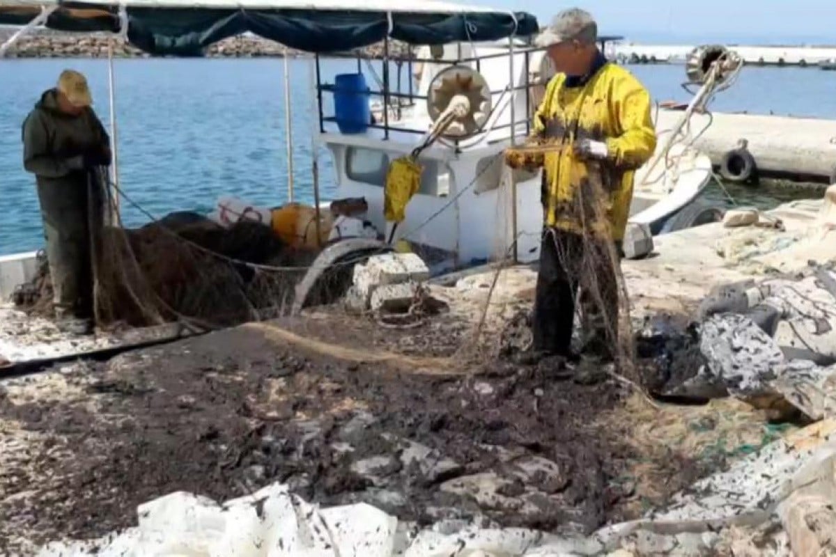 Saros Körfezi'nde balıkçıları tedirgin eden görüntü