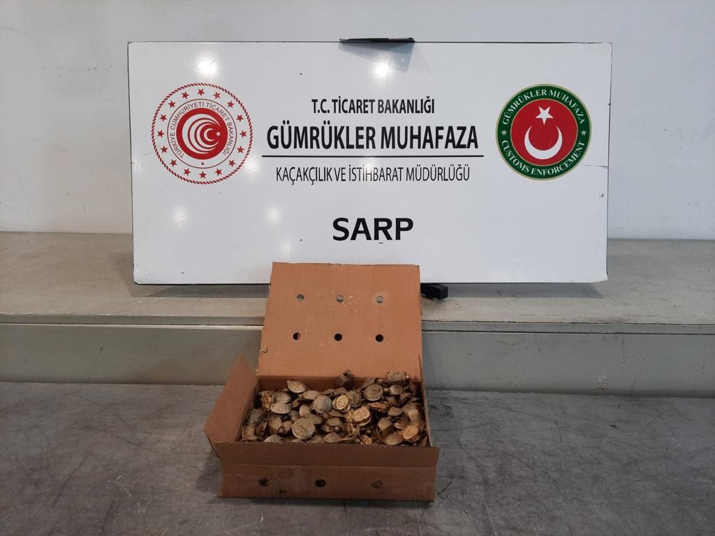 Sarp Sınır Kapısı’nda su kaplumbağaları ele geçirildi!