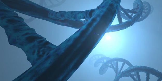 Şaşıracaksınız... Saç rengimizi belirleyen gen sayısı keşfedildi