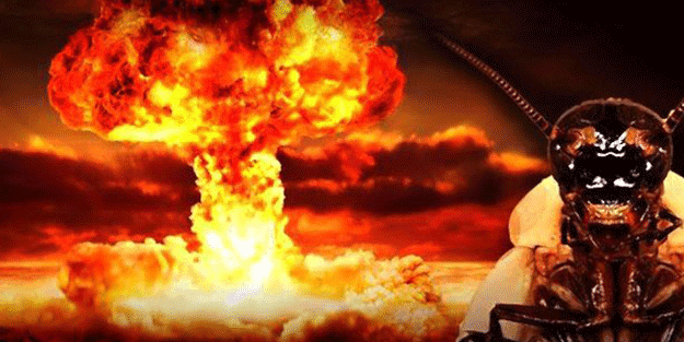 Şaşırtan analiz! Böcekler nükleer felaketten nasıl kurtulur?