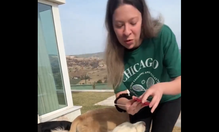 Şaşırtan deney sonucu! En pis ağız bakın kimin çıktı, kedi mi, köpek mi, insan mı?