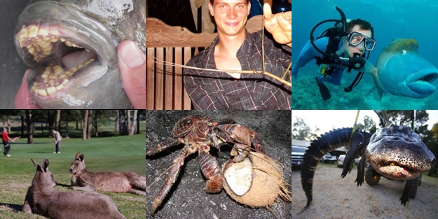 Şaşırtan dev hayvanlar - FOTO