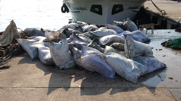 Şaşırtan görüntüler! Denizde balık ararken bakın ne buldular