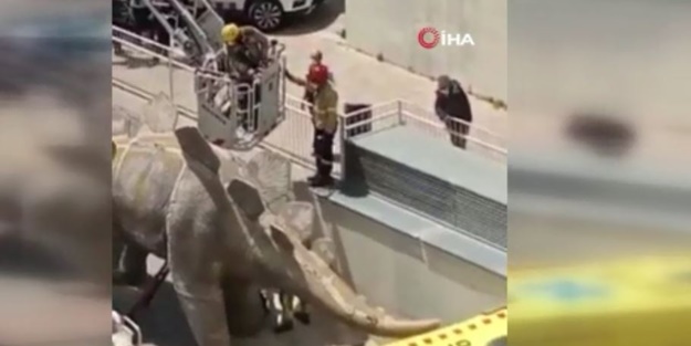 Şaşkına çeviren olay! Dinozor heykelinin içinden öyle bir şey çıktı ki...