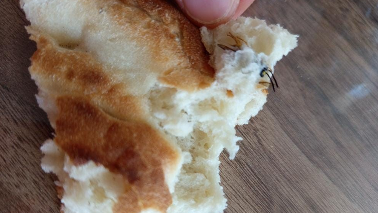 Şaşkına çeviren olay! Ekmeğin içinden öyle bir şey çıktı ki…