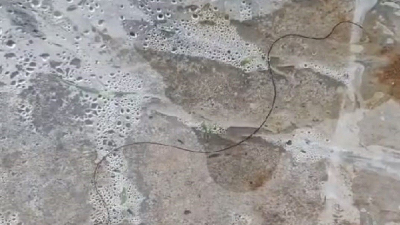 Şaşkına çeviren olay!