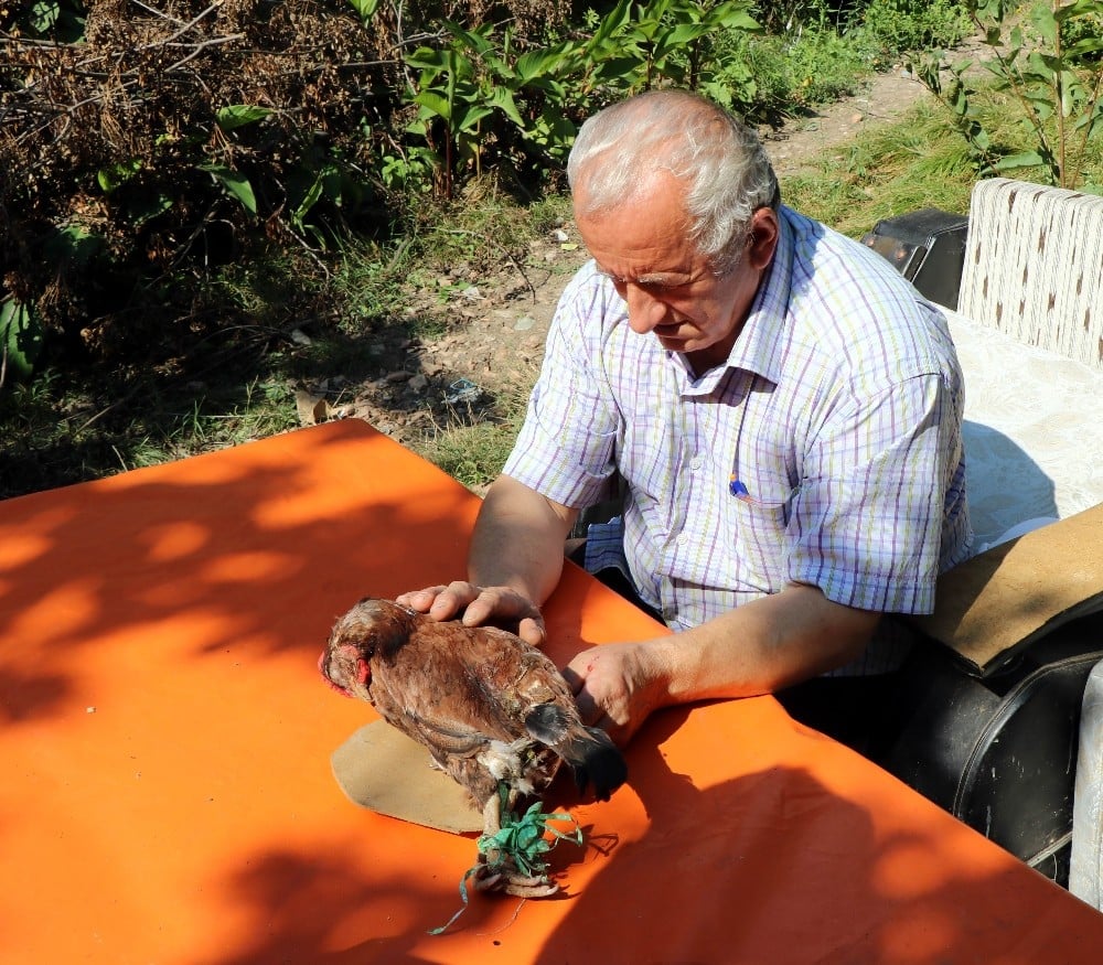 ’Şaşkın’a gözyaşı 
