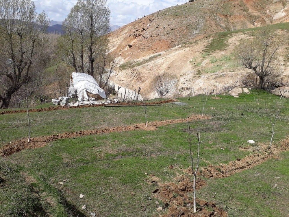 Sason’da kapama ceviz bahçesi almayı hak kazanan çiftçiler kura ile belirlendi 