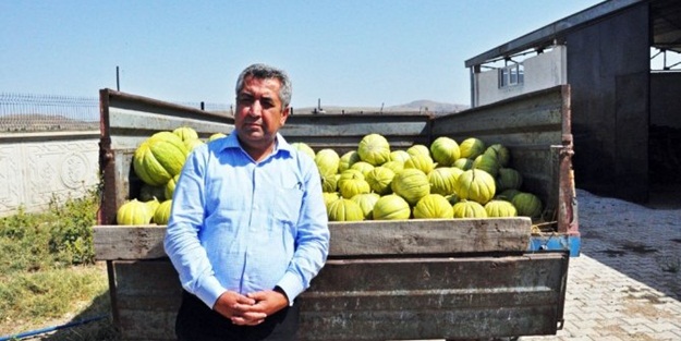 Satamadığı kavundan bakın ne yaptı!