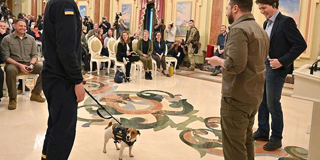 Savaş kahramanı oldu! Zelenski köpeğe devlet nişanı taktı