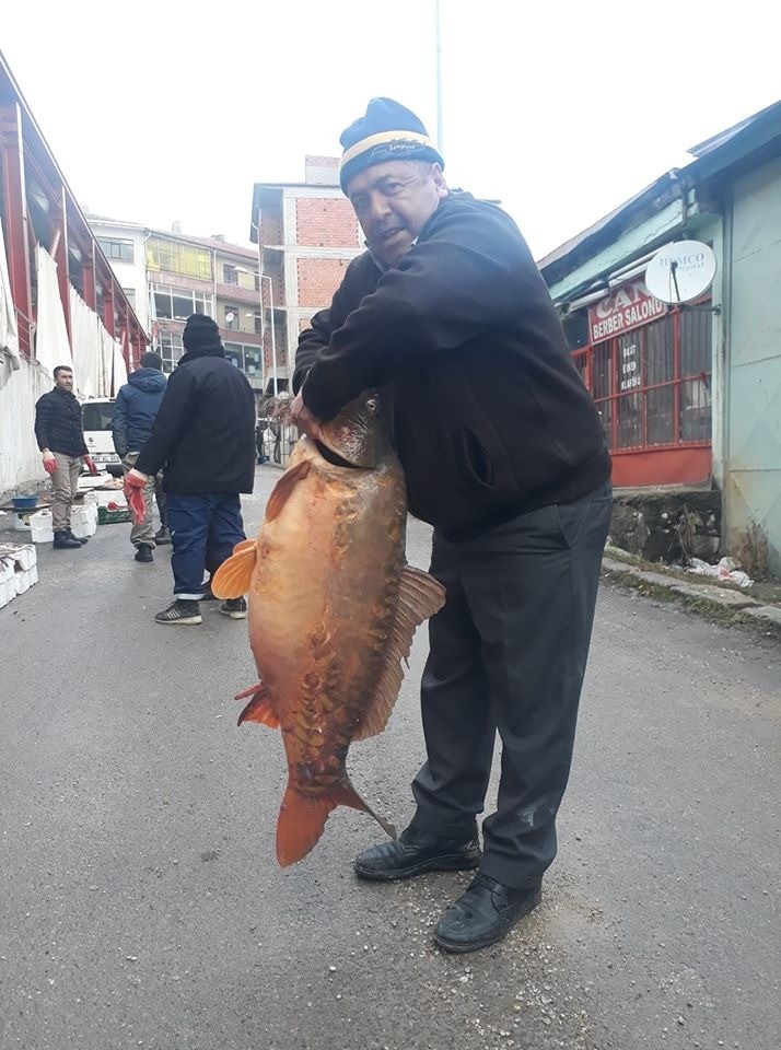 Savcılı barajından 25 kiloluk sazan balığı çıktı 