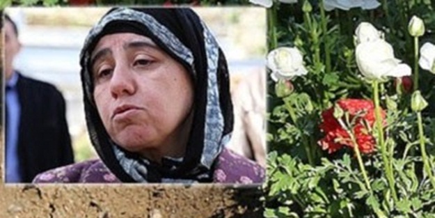 Savcının eşi: Milletimizin başı sağolsun